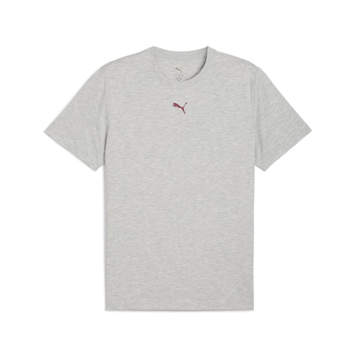 Puma Graphics Illustrated Erkek T-Shirt - Gri