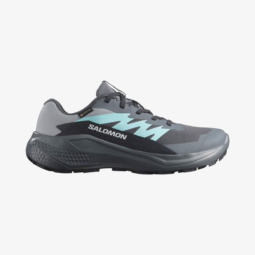 Salomon Alphaglide Gore-Tex Kadın Koşu Ayakkabısı - Çok Renkli