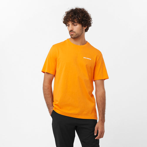 Salomon Graphic Performance Erkek T-Shirt - Turuncu