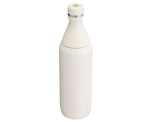 Stanley All Day Slim Bottle 0.60 LT Unisex Termos - Krem - görsel 2