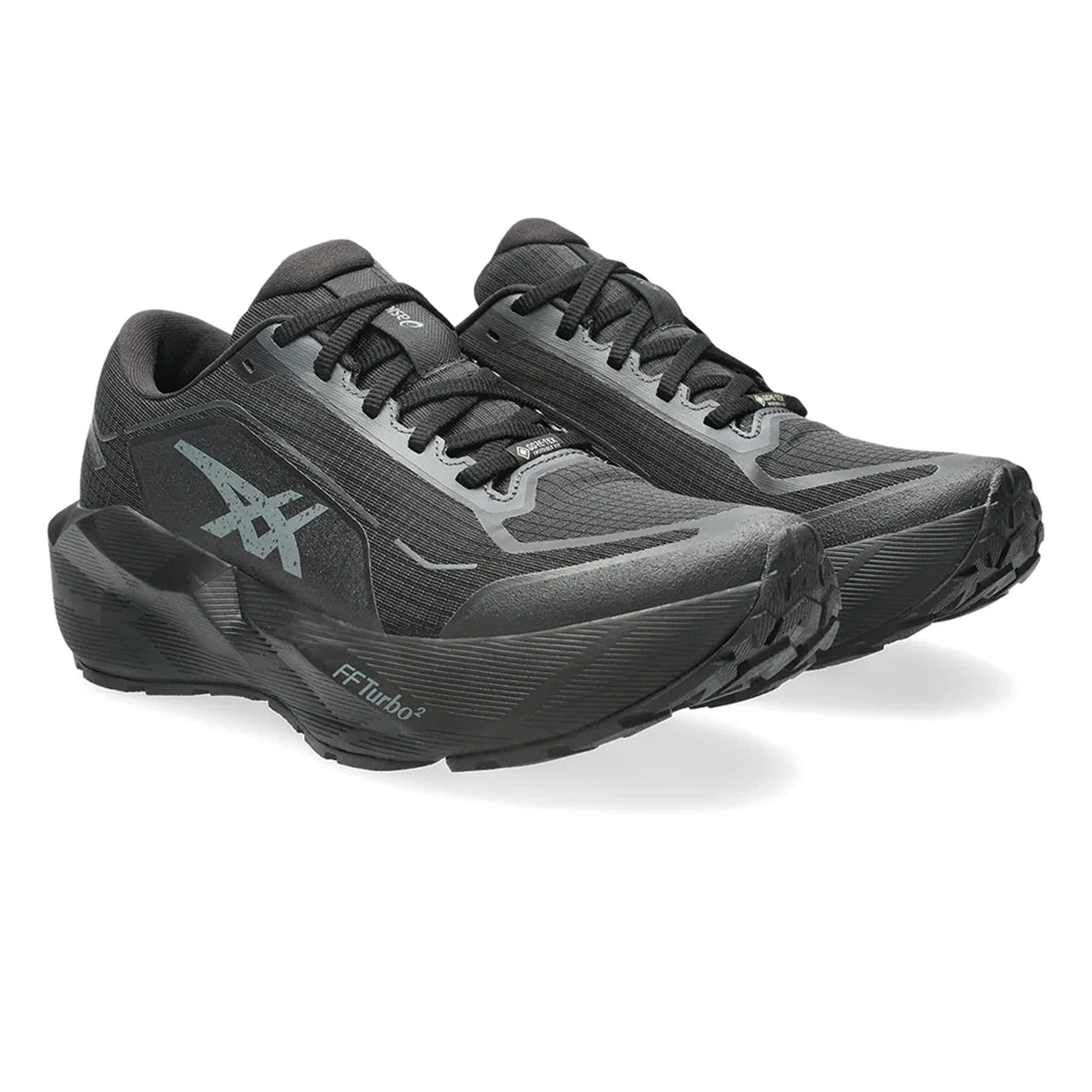 Asics Novablast 6 Gore-Tex Erkek Koşu Ayakkabısı - Siyah