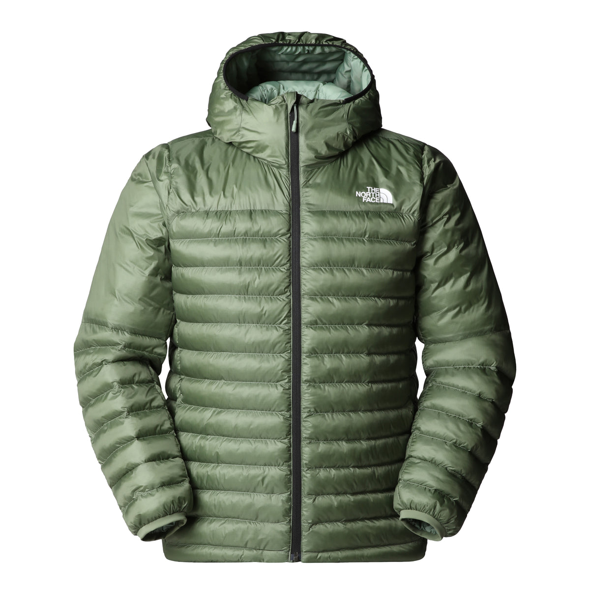 The North Face Terra Peak Hoodie Erkek Mont - Yeşil