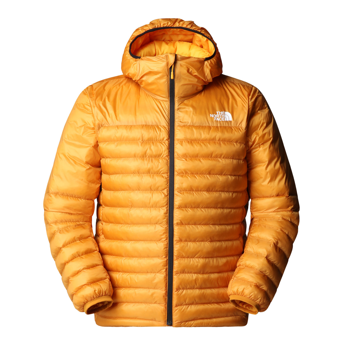 The North Face Terra Peak Hoodie Erkek Mont - Turuncu