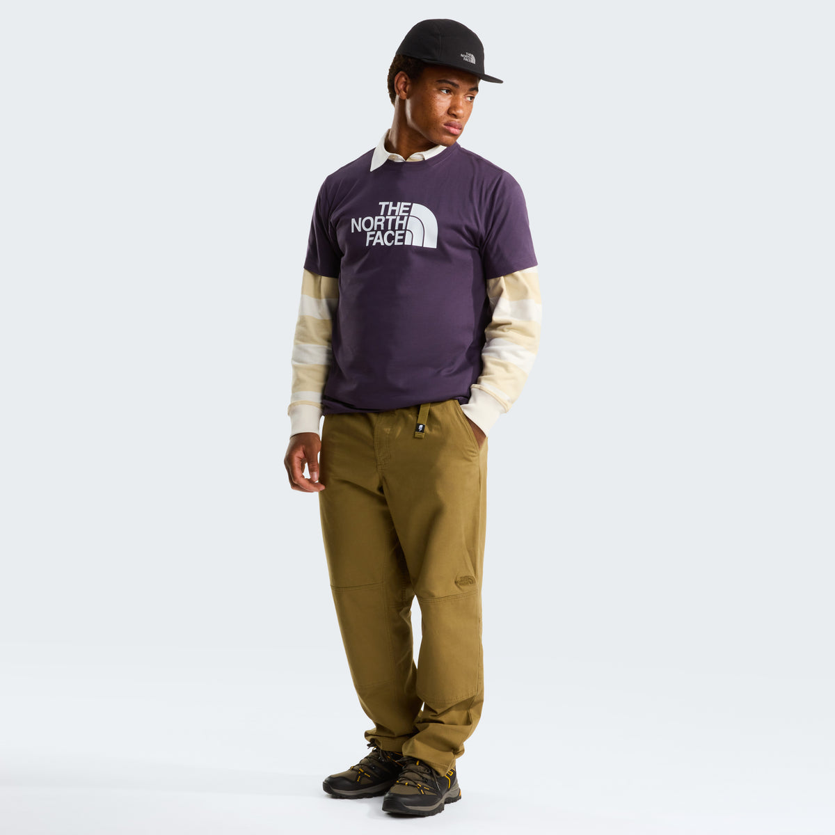 The North Face Evolution Half Dome Regular Erkek Tişört - Mor