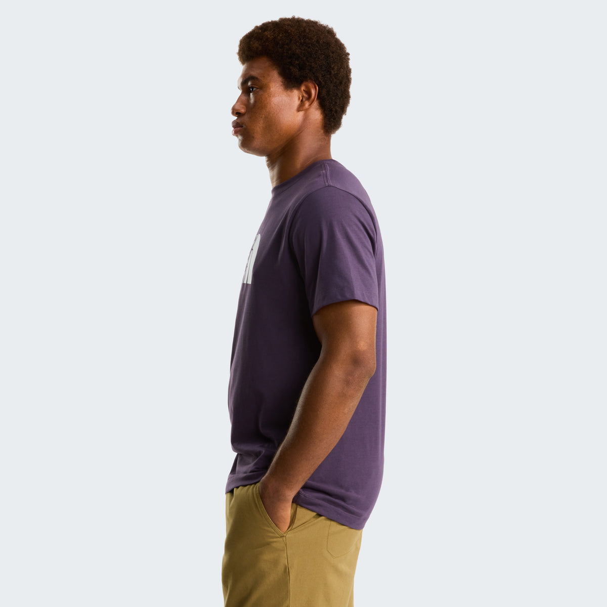 The North Face Evolution Half Dome Regular Erkek Tişört - Mor