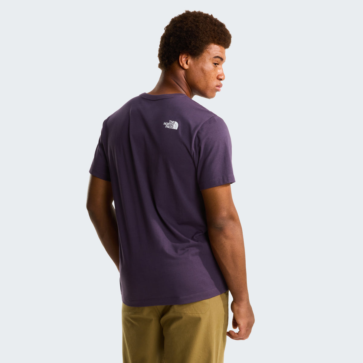 The North Face Evolution Half Dome Regular Erkek Tişört - Mor