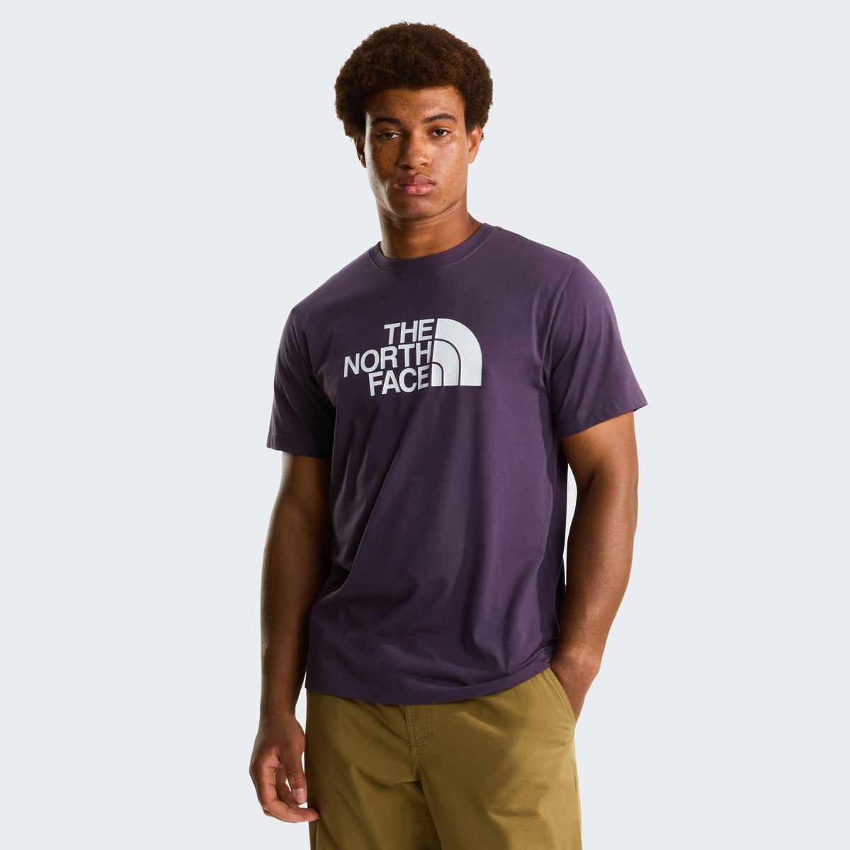 The North Face Evolution Half Dome Regular Erkek Tişört - Mor
