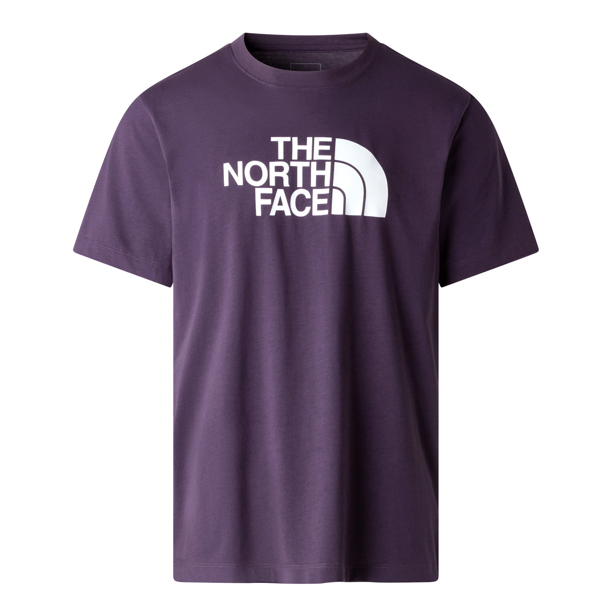 The North Face Evolution Half Dome Regular Erkek Tişört - Mor