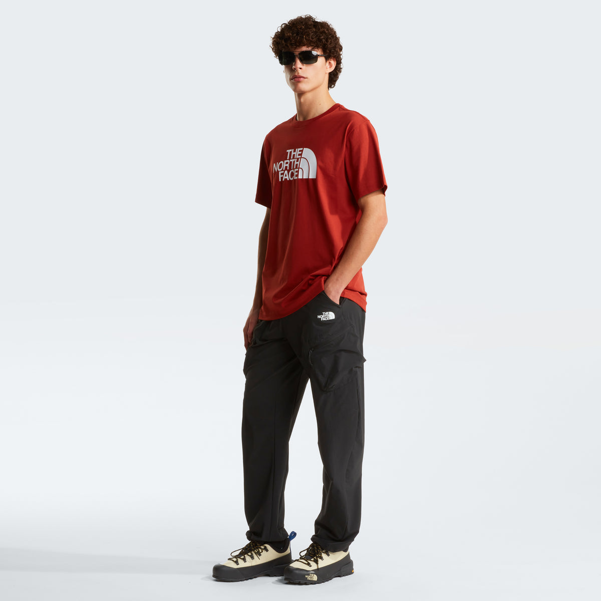 The North Face Evolution Half Dome Regular Erkek Tişört - Kırmızı