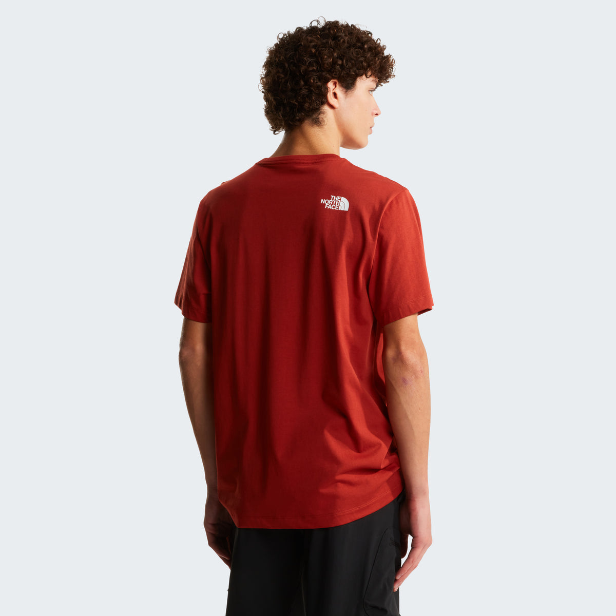 The North Face Evolution Half Dome Regular Erkek Tişört - Kırmızı