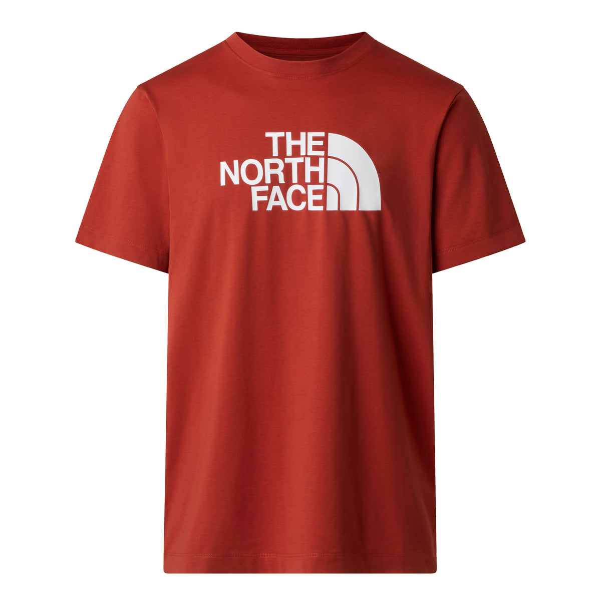 The North Face Evolution Half Dome Regular Erkek Tişört - Kırmızı