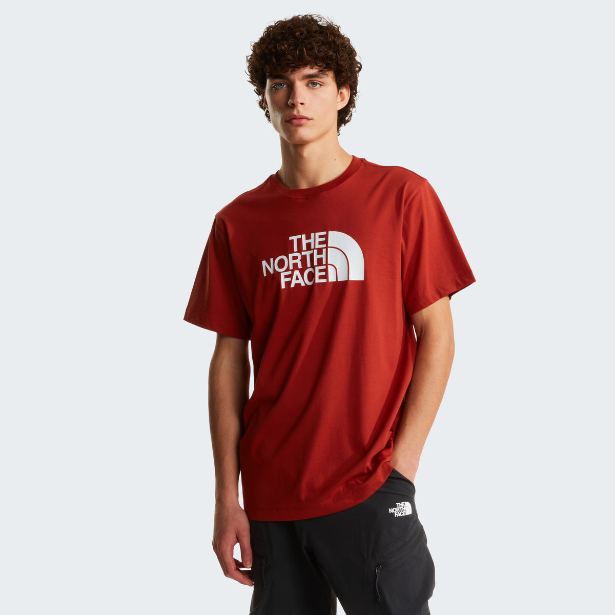 The North Face Evolution Half Dome Regular Erkek Tişört - Kırmızı