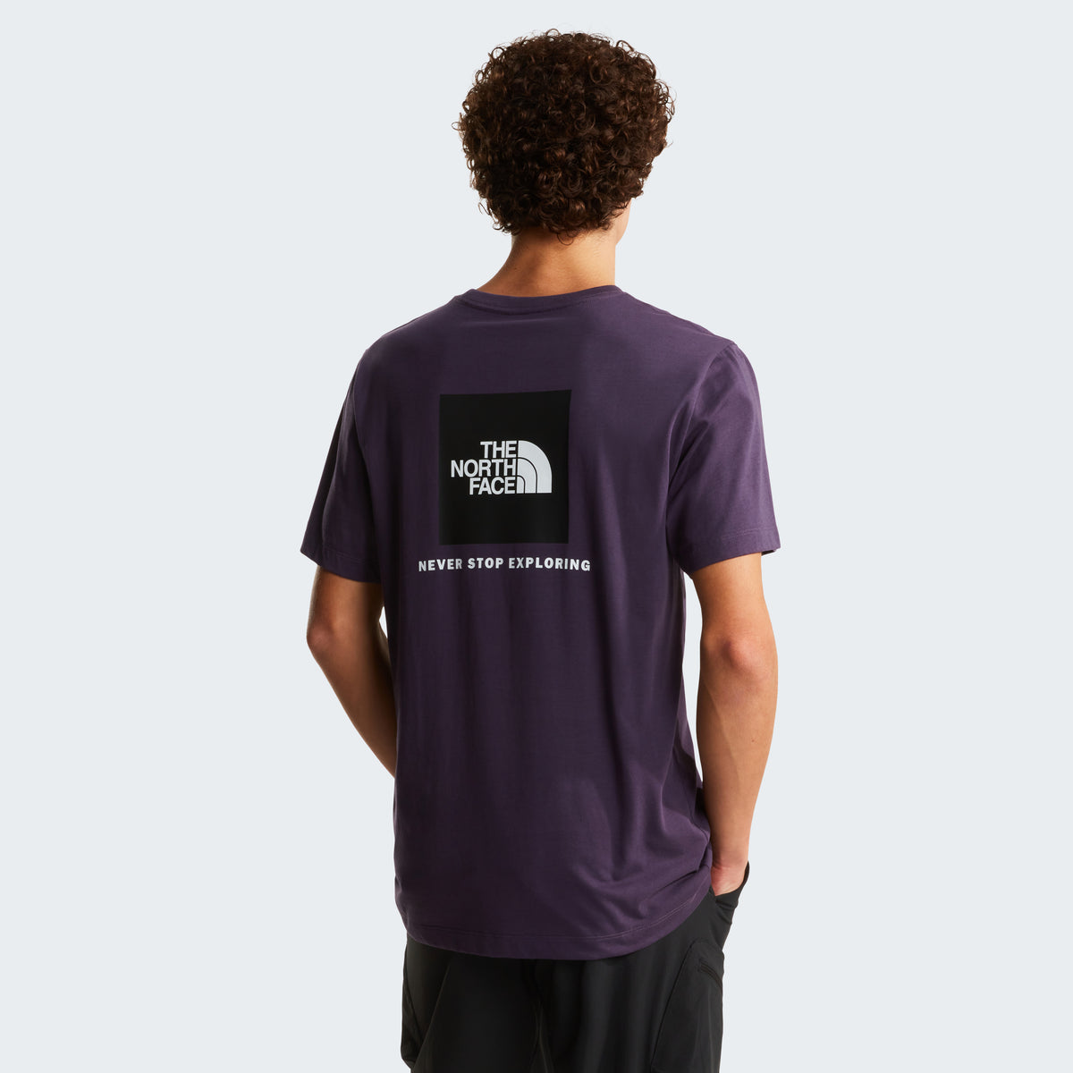 The North Face NSE Box Regular Erkek Tişört - Mor