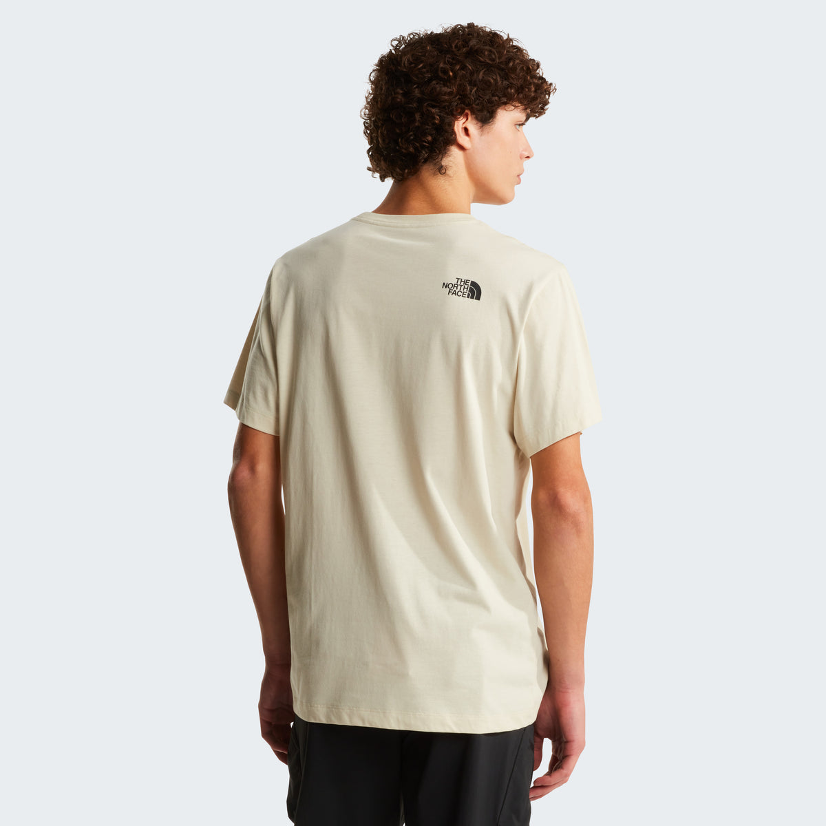 The North Face Evolution Box Half Dome Regular Erkek Tişört - Krem
