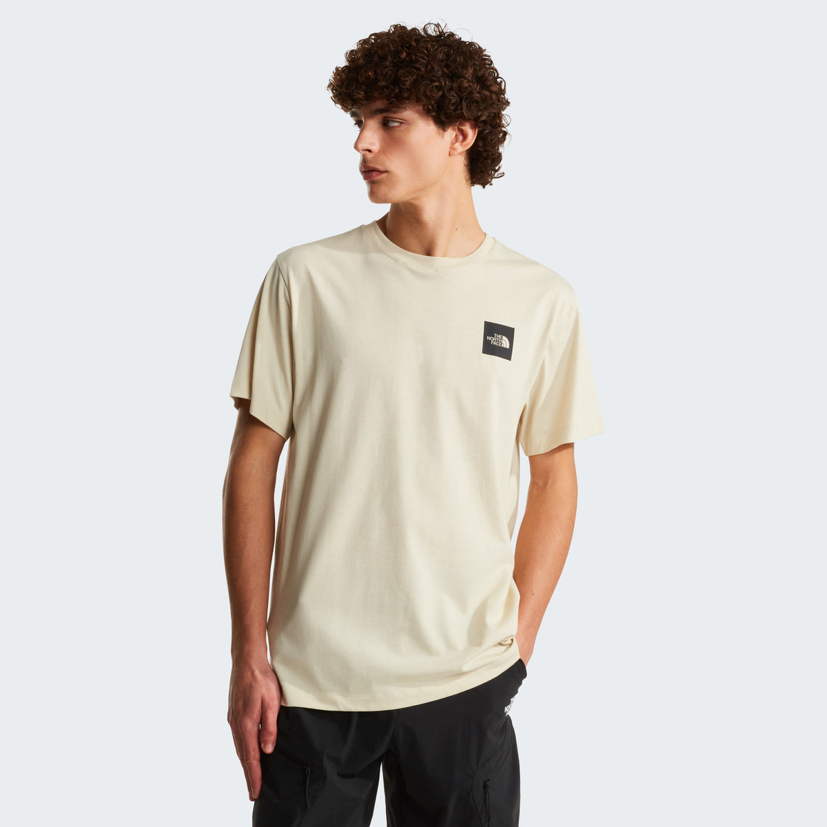 The North Face Evolution Box Half Dome Regular Erkek Tişört - Krem