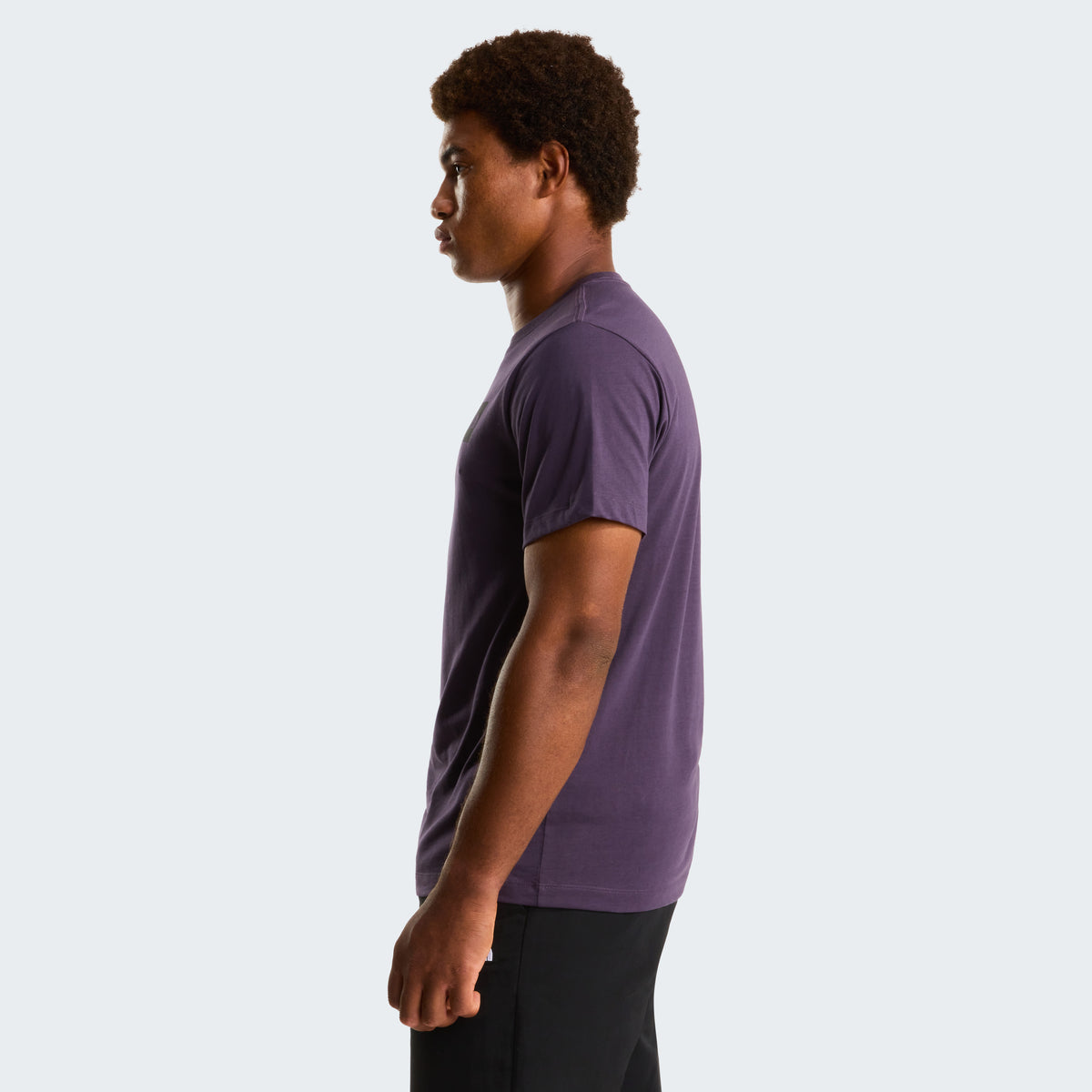 The North Face Evolution Box Half Dome Regular Erkek Tişört - Mor