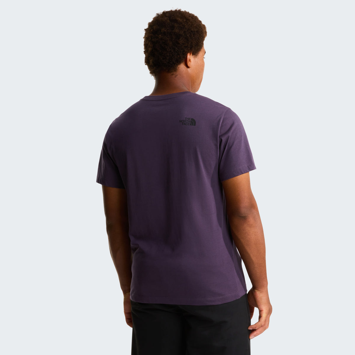 The North Face Evolution Box Half Dome Regular Erkek Tişört - Mor