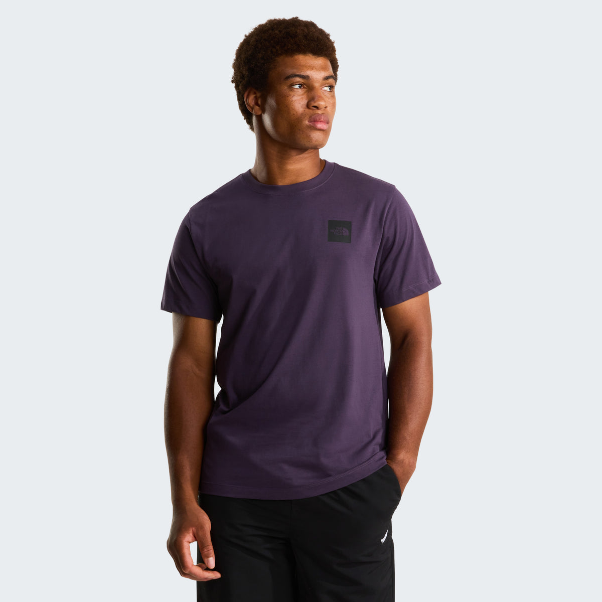 The North Face Evolution Box Half Dome Regular Erkek Tişört - Mor