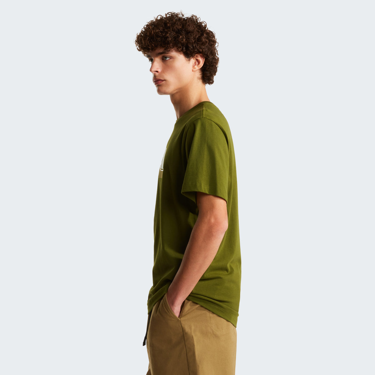 The North Face Mountain Line Regular Erkek Tişört - Haki