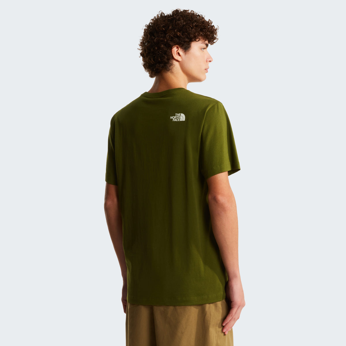 The North Face Mountain Line Regular Erkek Tişört - Haki