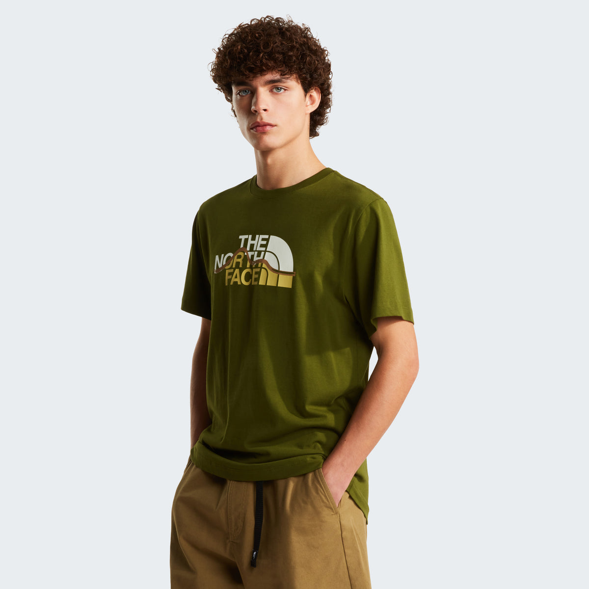 The North Face Mountain Line Regular Erkek Tişört - Haki