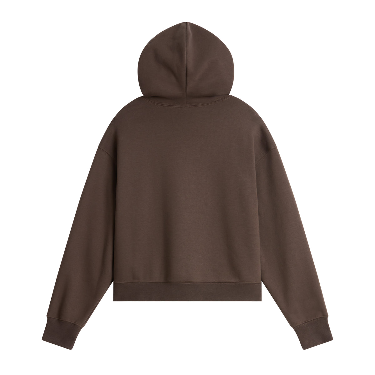 The North Face Essential Simple Dome Boxy Hoodie Kadın Sweatshirt - Kahve