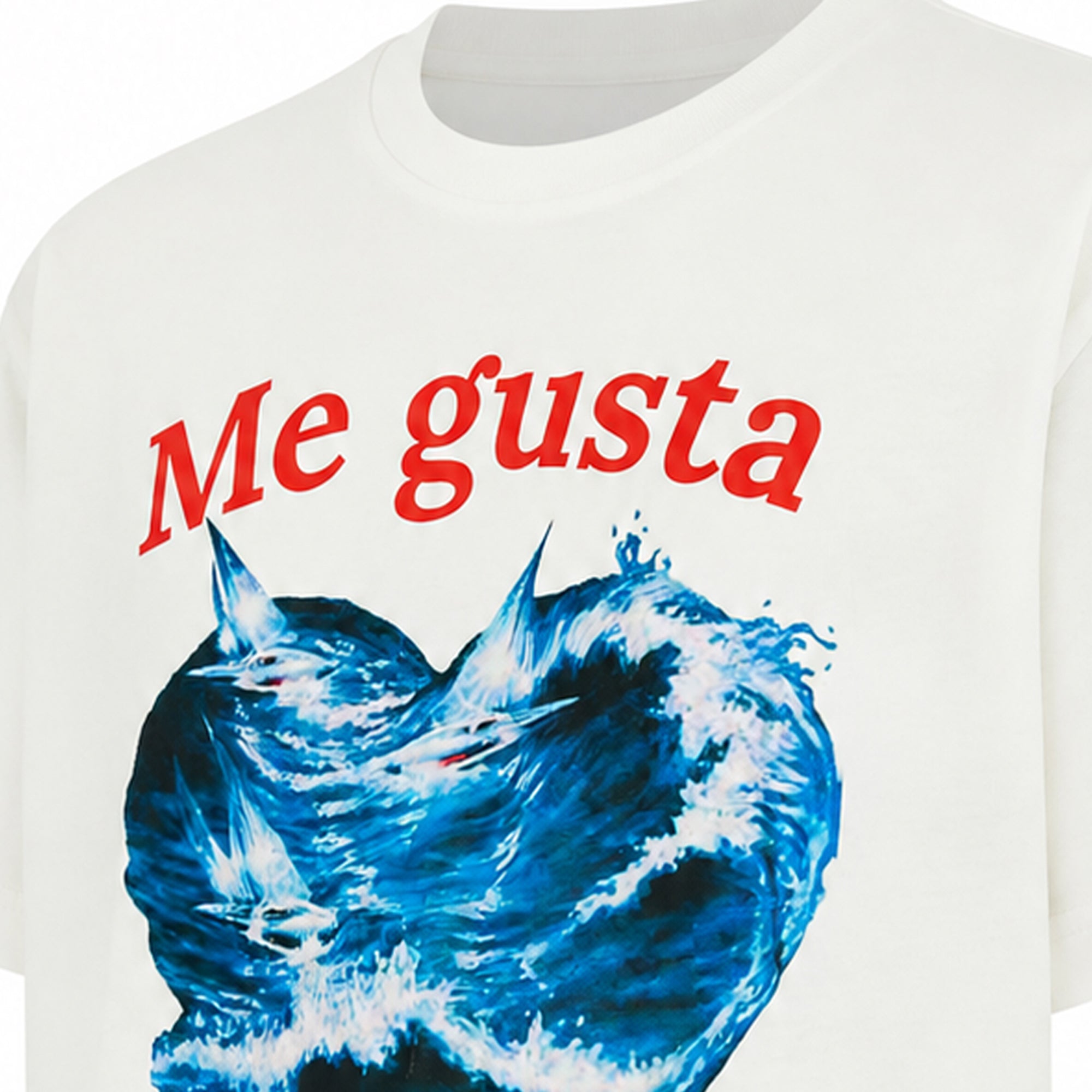 Aqualab Graphic T-Shirt Erkek Tişört - Aspera