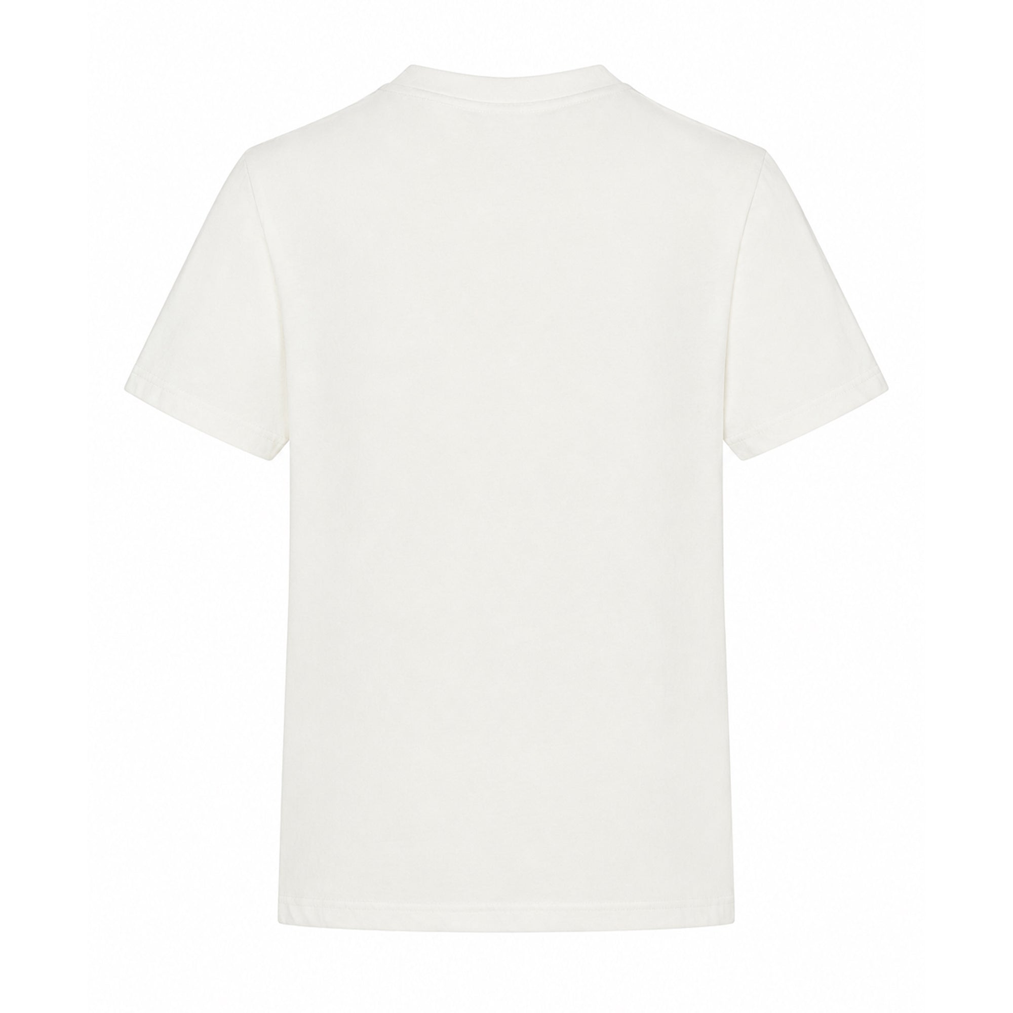 Aqualab Graphic T-Shirt Erkek Tişört - Aspera
