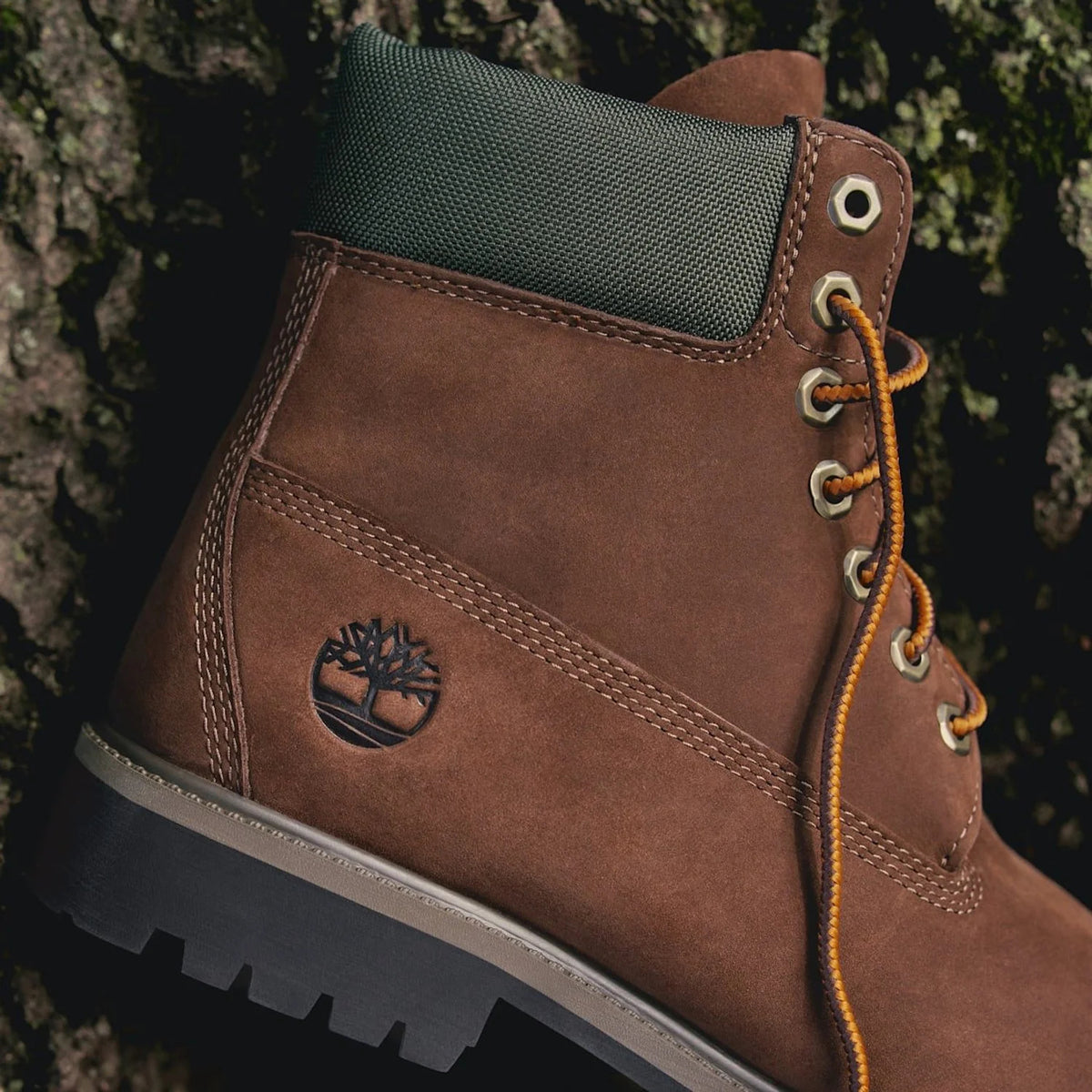 Timberland Premium 6-Inch Waterproof Kadın Bot - Kahve