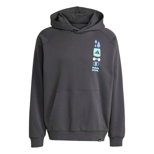 adidas Graphic Hoodie Erkek Sweat - Antrasit