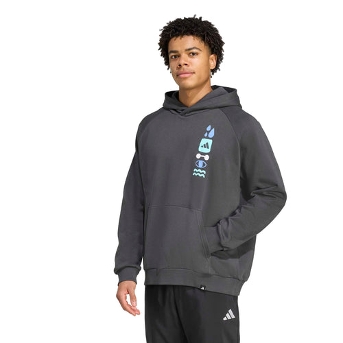 adidas Graphic Hoodie Erkek Sweatshirt - Antrasit