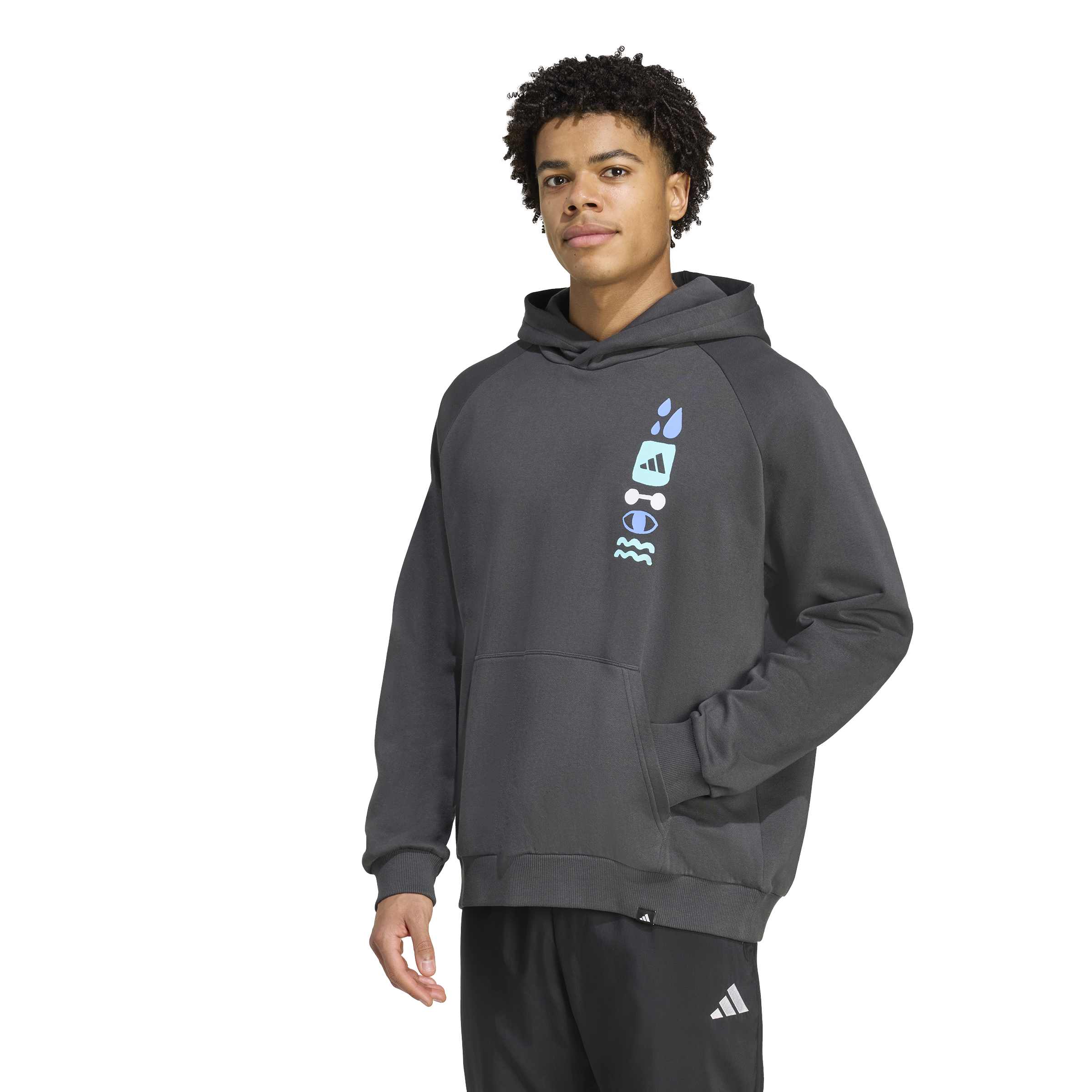 adidas Graphic Hoodie Erkek Sweat - Antrasit - görsel 3