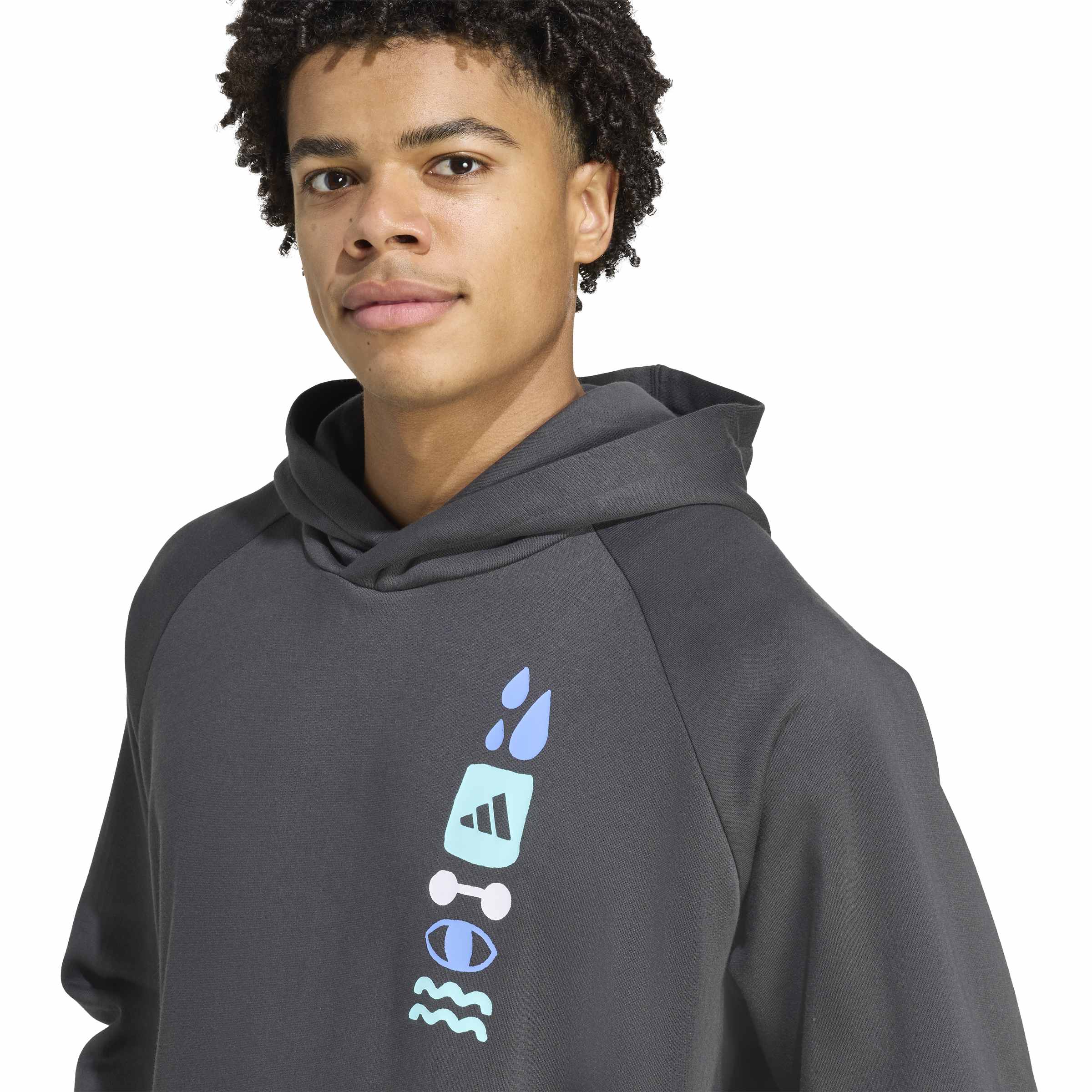 adidas Graphic Hoodie Erkek Sweat - Antrasit - görsel 5