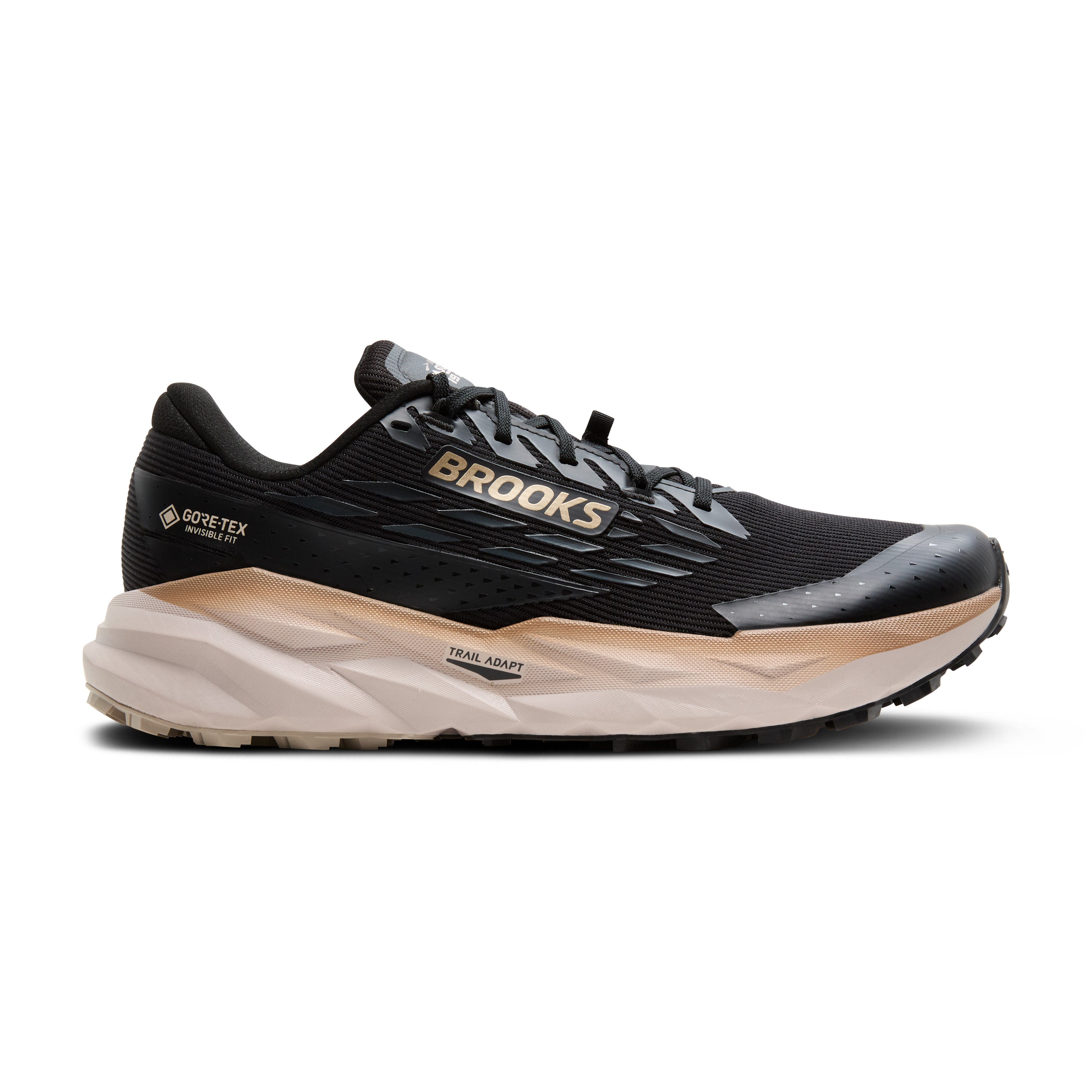Brooks Cascadia 19 GTX Erkek Siyah Koşu - Yürüyüş Ayakkabısı