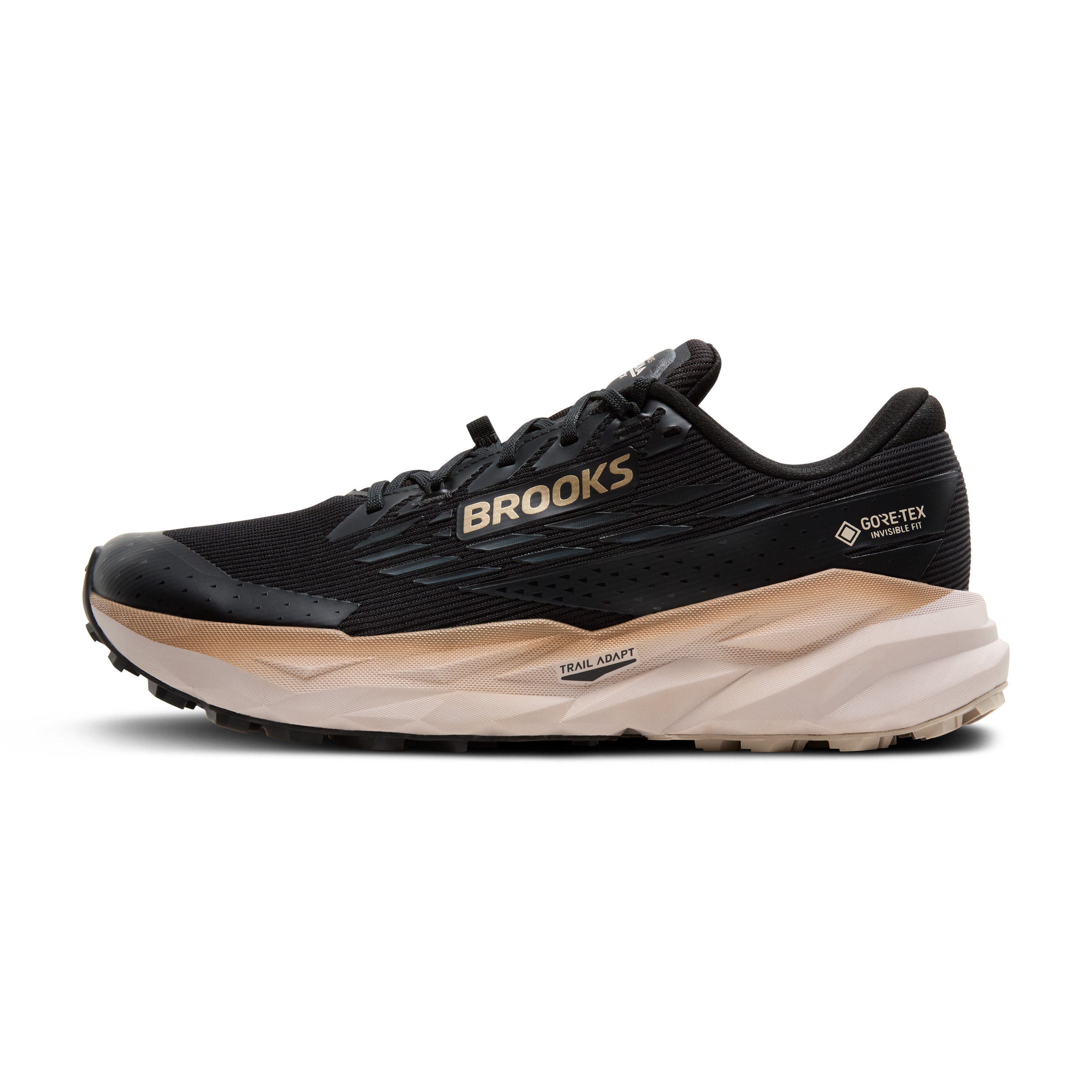 Brooks Cascadia 19 GTX Erkek Siyah Koşu - Yürüyüş Ayakkabısı