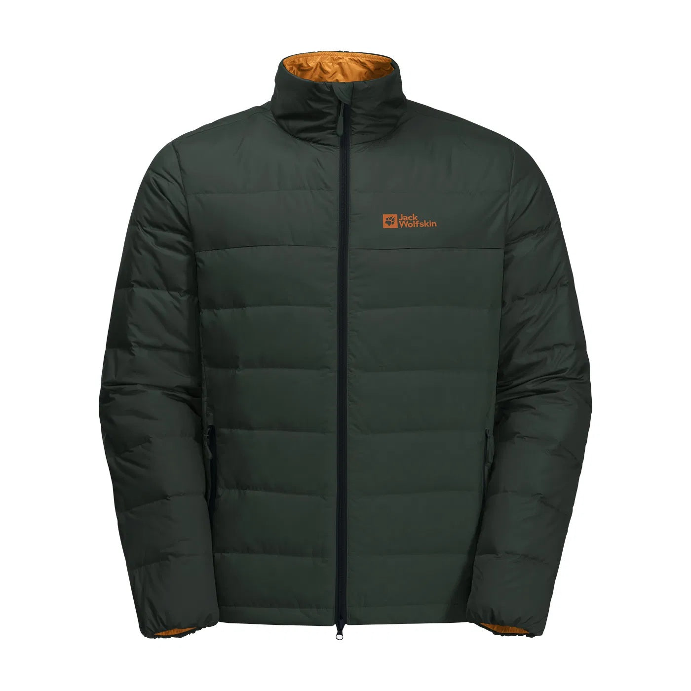 Jack Wolfskin Ather Erkek Mont - Yeşil