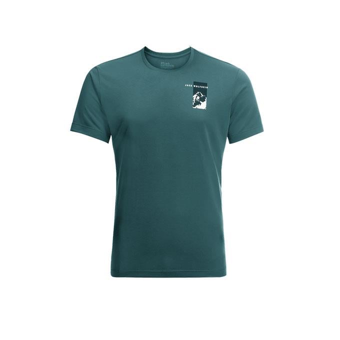 Jack Wolfskin Vonnan Graphic Yeşil Erkek T-Shirt