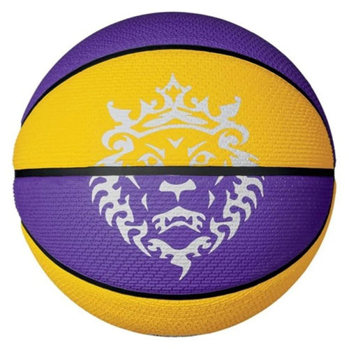 Nike Acc Everyday Playground Unisex Basketbol Topu - Mor-Sarı