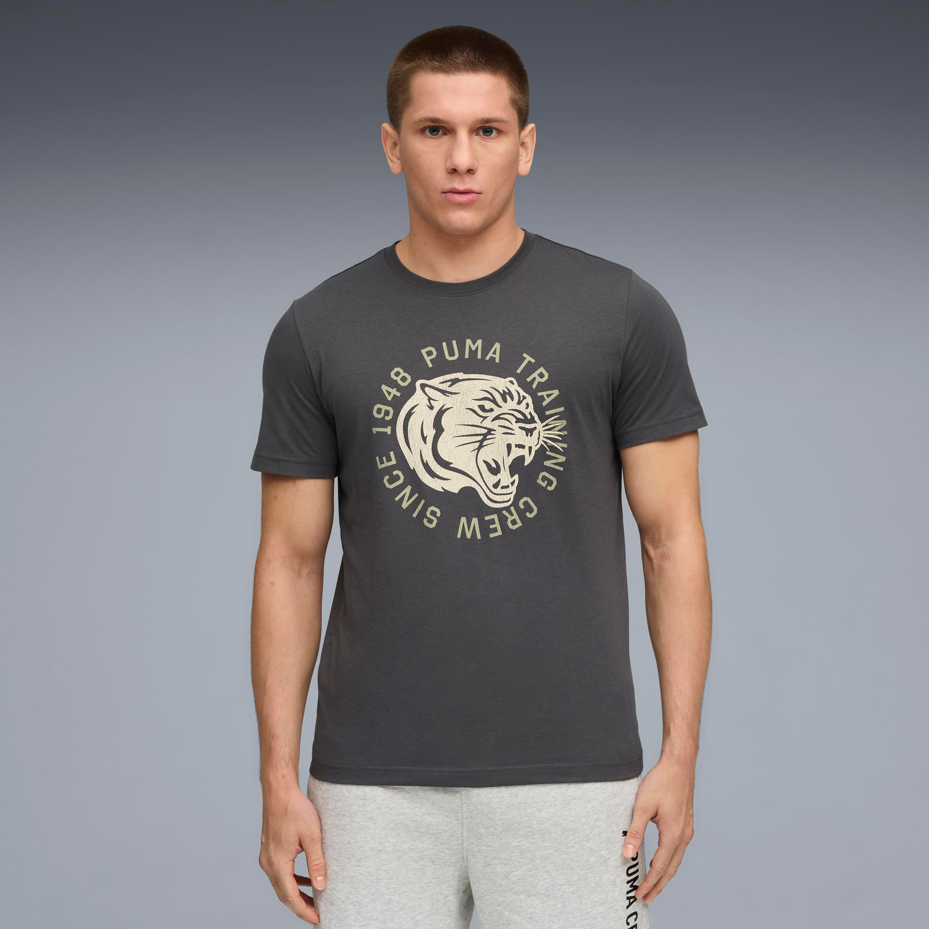 Puma Illustrated Graphic Erkek T-Shirt - Gri
