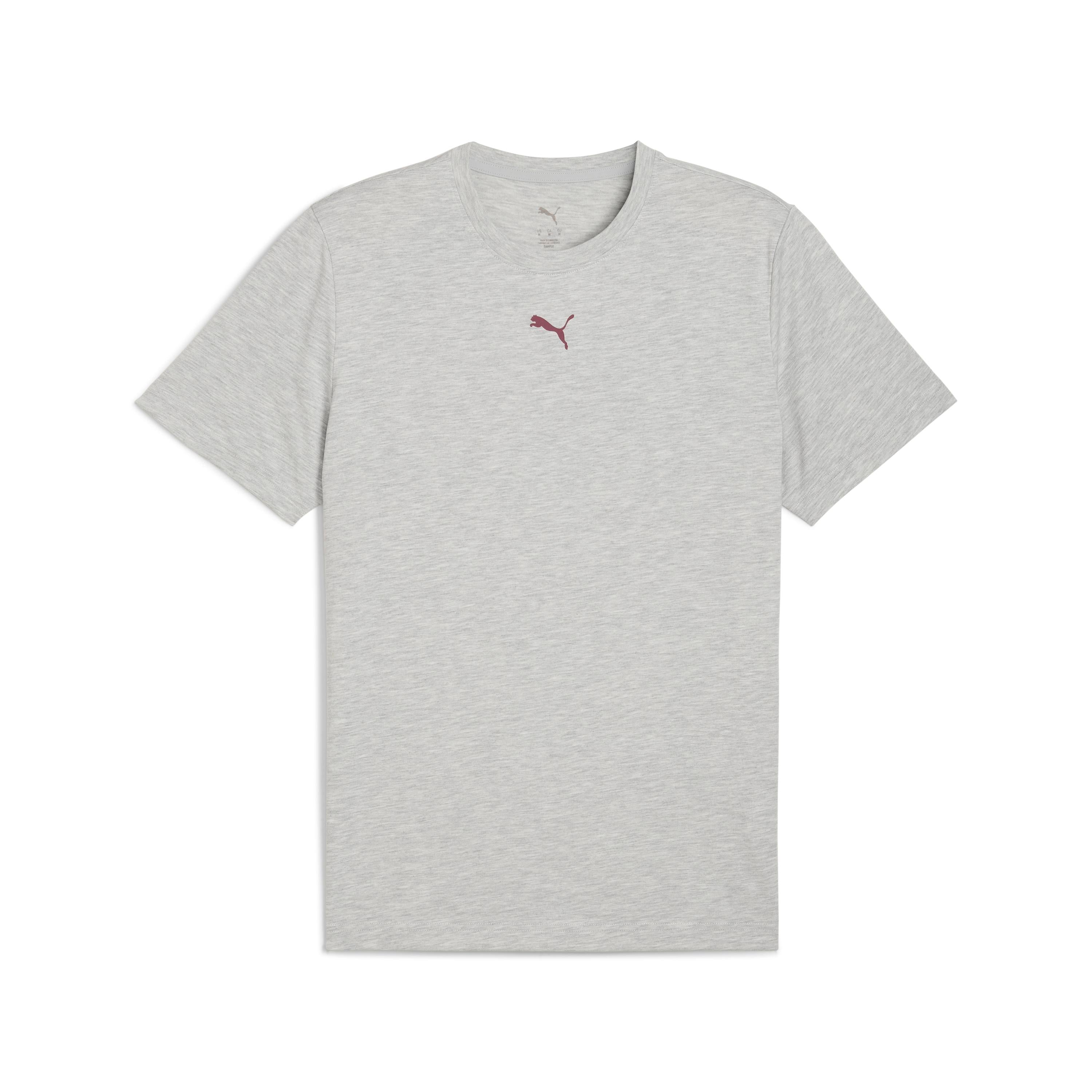 Puma Graphics Illustrated Gri Erkek T-Shirt