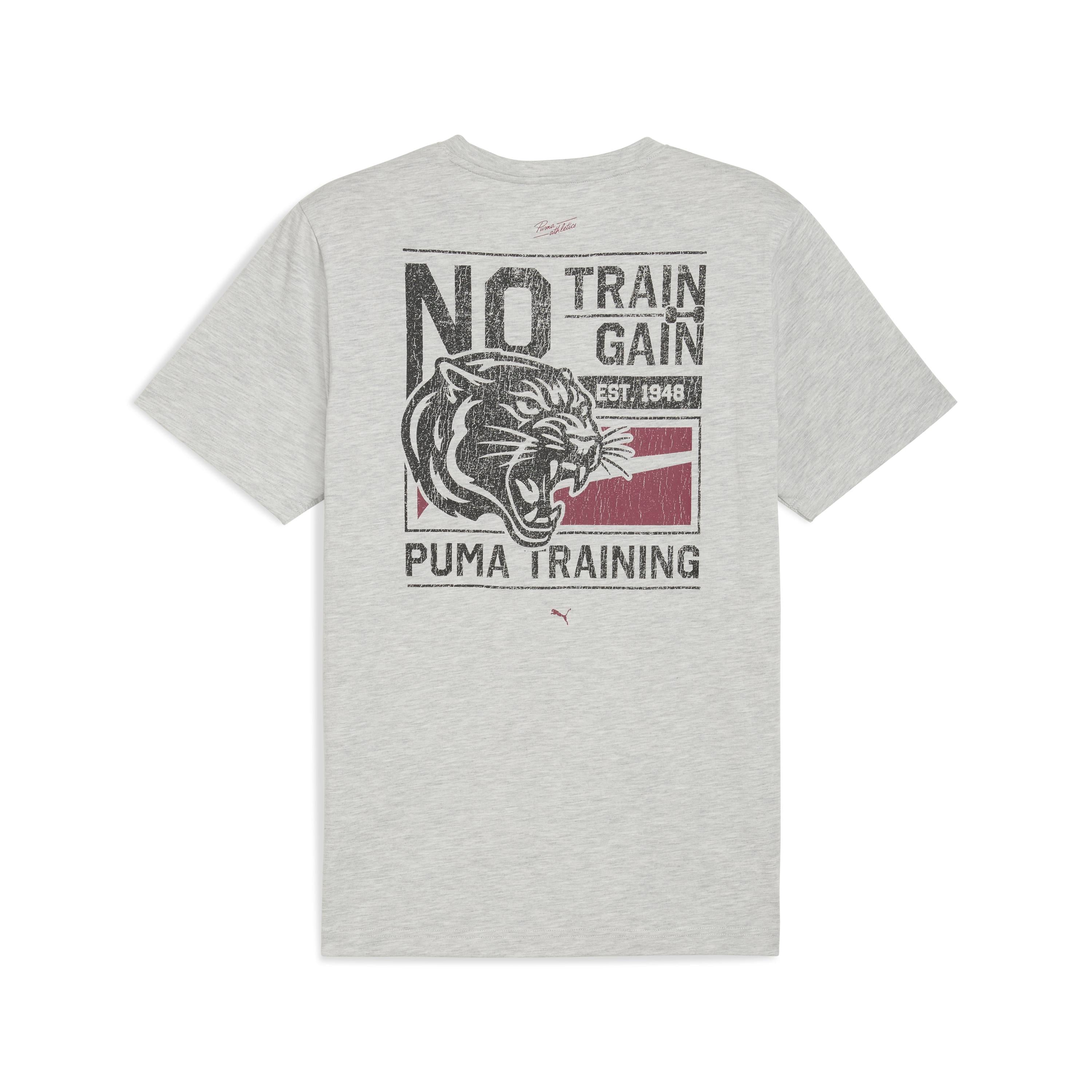 Puma Graphics Illustrated Gri Erkek T-Shirt