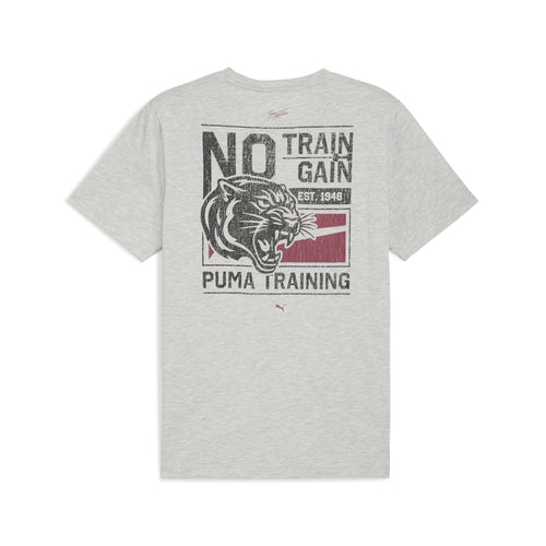 Puma Graphics Illustrated Erkek T-Shirt - Gri
