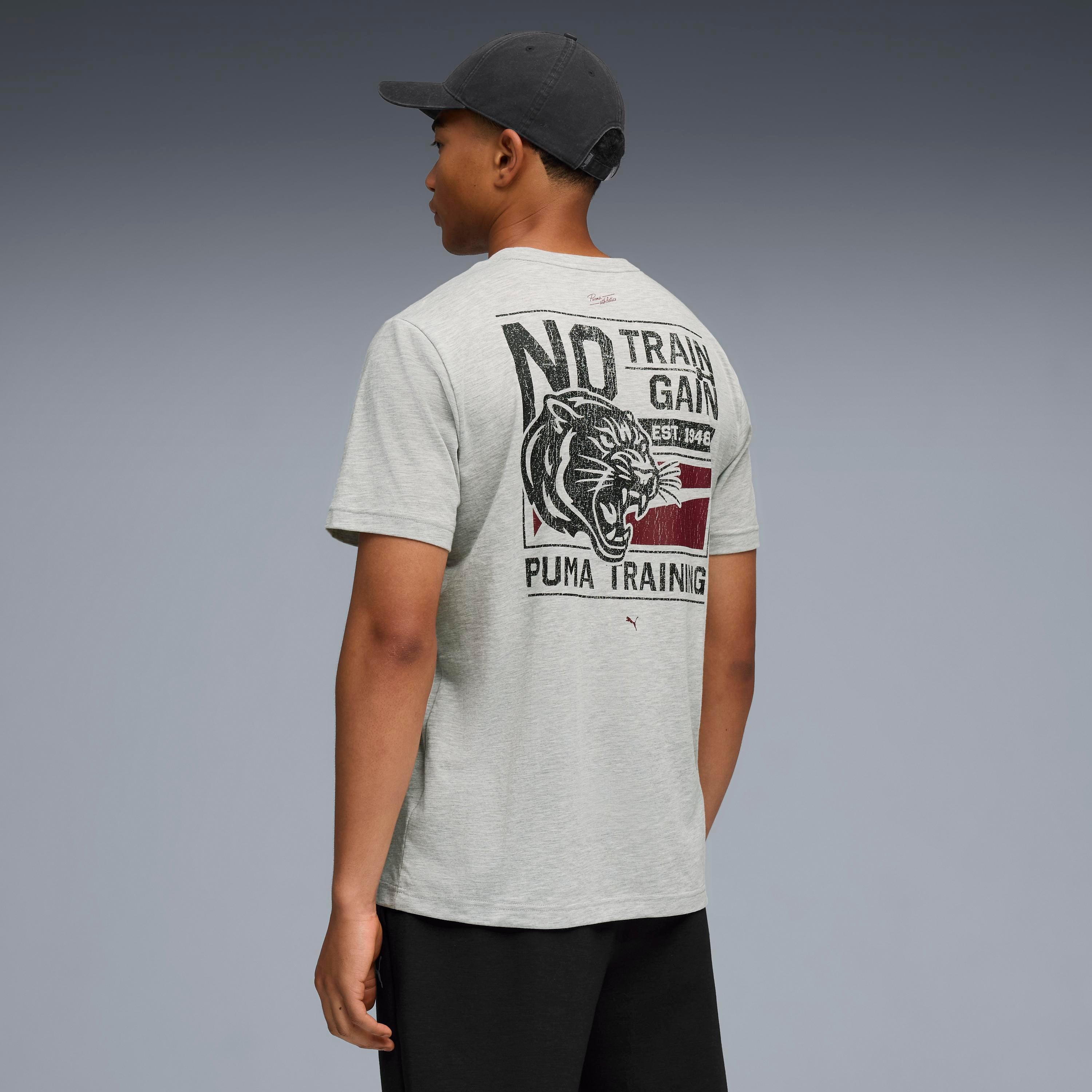 Puma Graphics Illustrated Gri Erkek T-Shirt