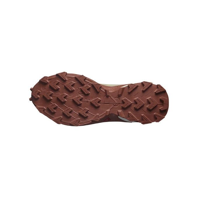 Salomon Alphacross 5 W Kadın Wheat/Vanilla Ice/Aragon Koşu - Yürüyüş Ayakkabısı
