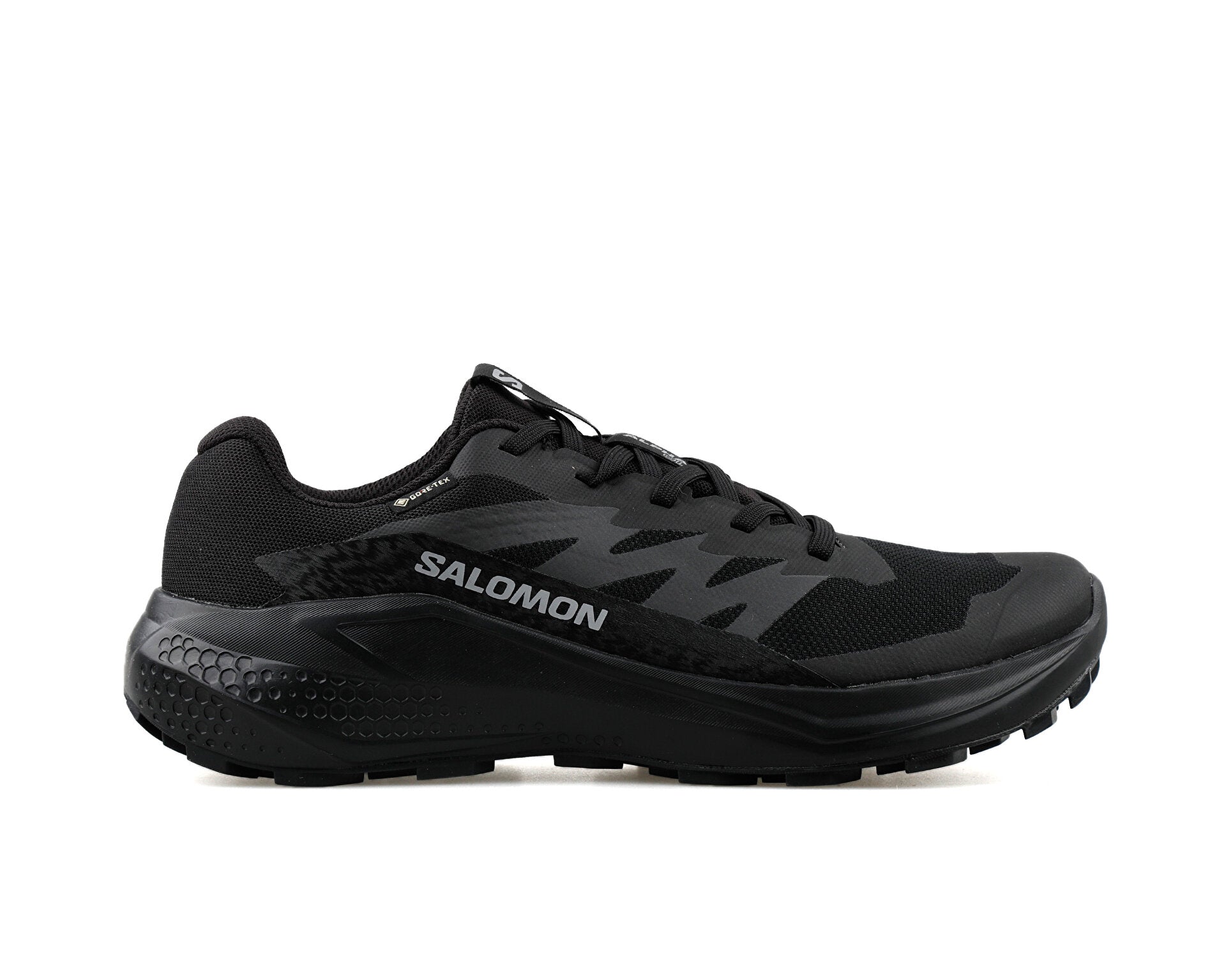 Salomon Alphaglide Gore-Tex Erkek Koşu Ayakkabısı - Siyah-Siyah