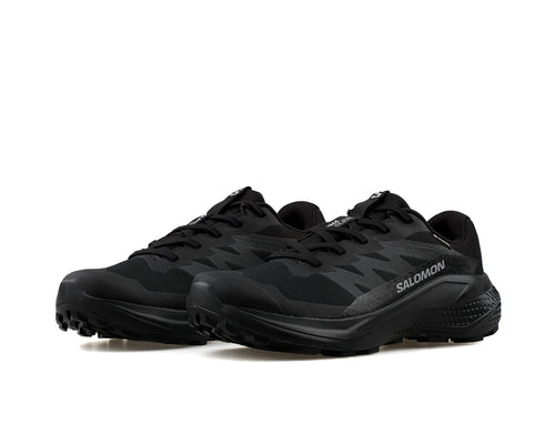 Salomon Alphaglide Gore-Tex Erkek Koşu Ayakkabısı - Siyah-Siyah