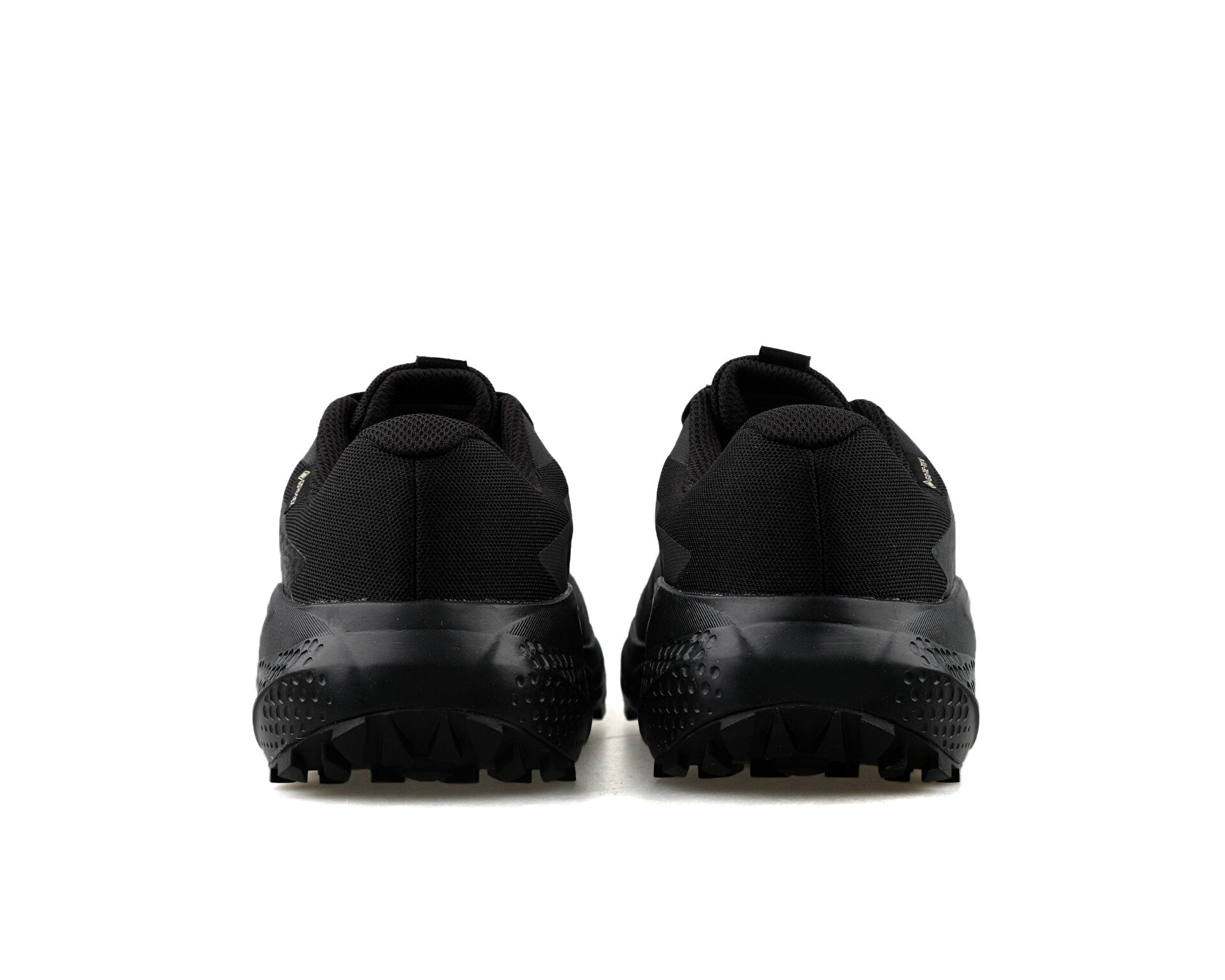 Salomon Alphaglide Gore-Tex Erkek Koşu Ayakkabısı - Siyah-Siyah