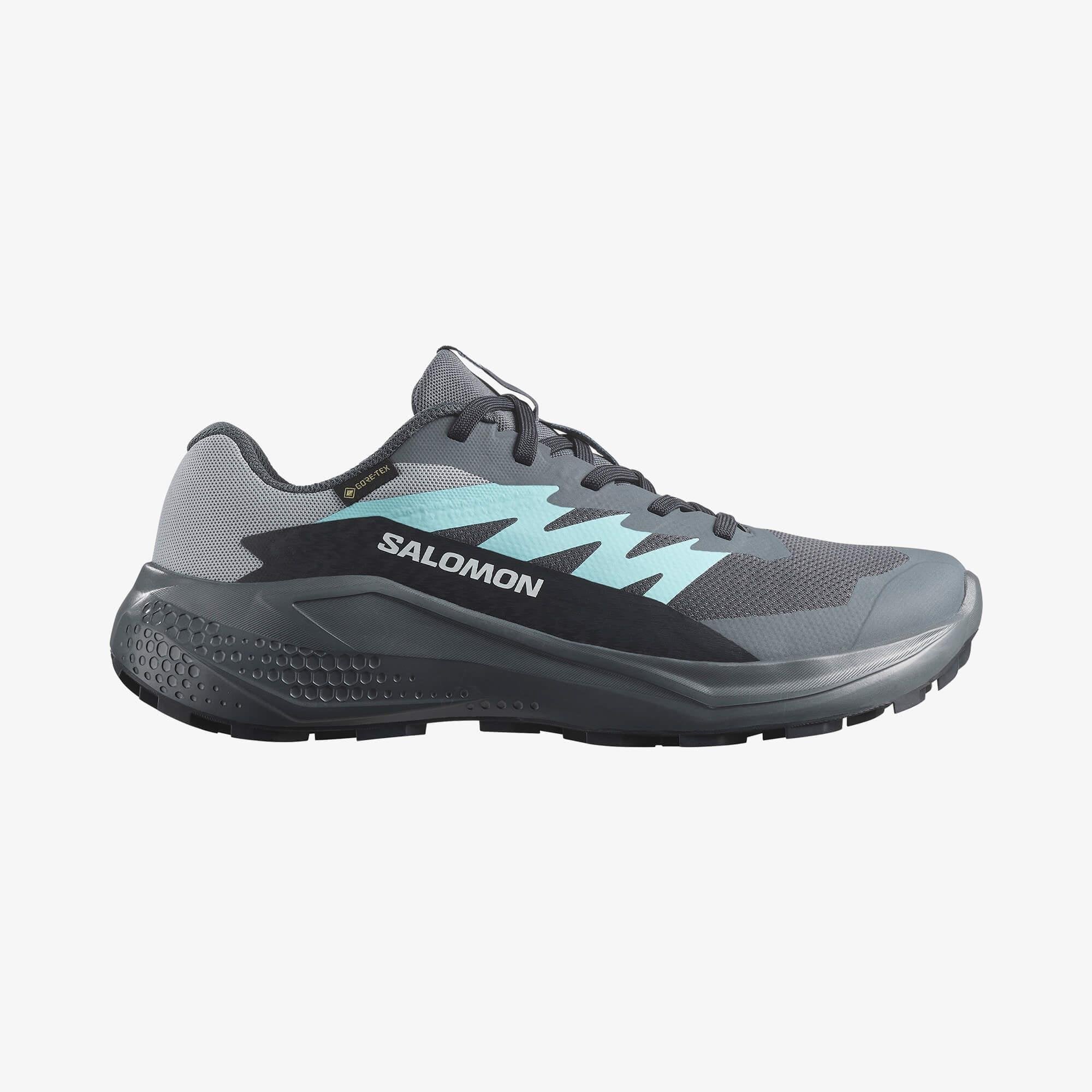 Salomon Alphaglide Gore-Tex Kadın Koşu Ayakkabısı - Gri-Mavi