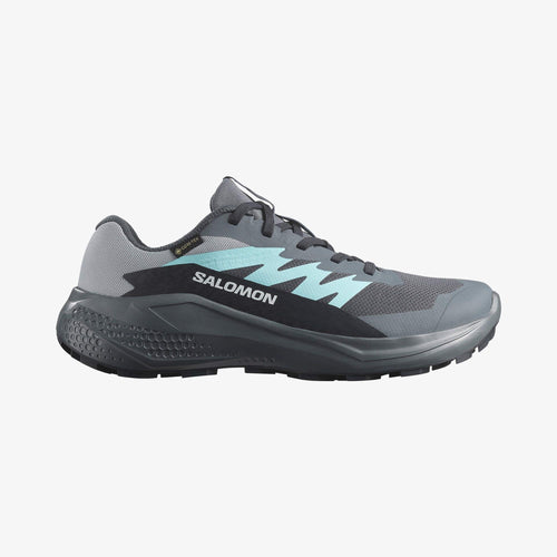 Salomon Alphaglide Gore-Tex Kadın Koşu Ayakkabısı - Gri-Mavi