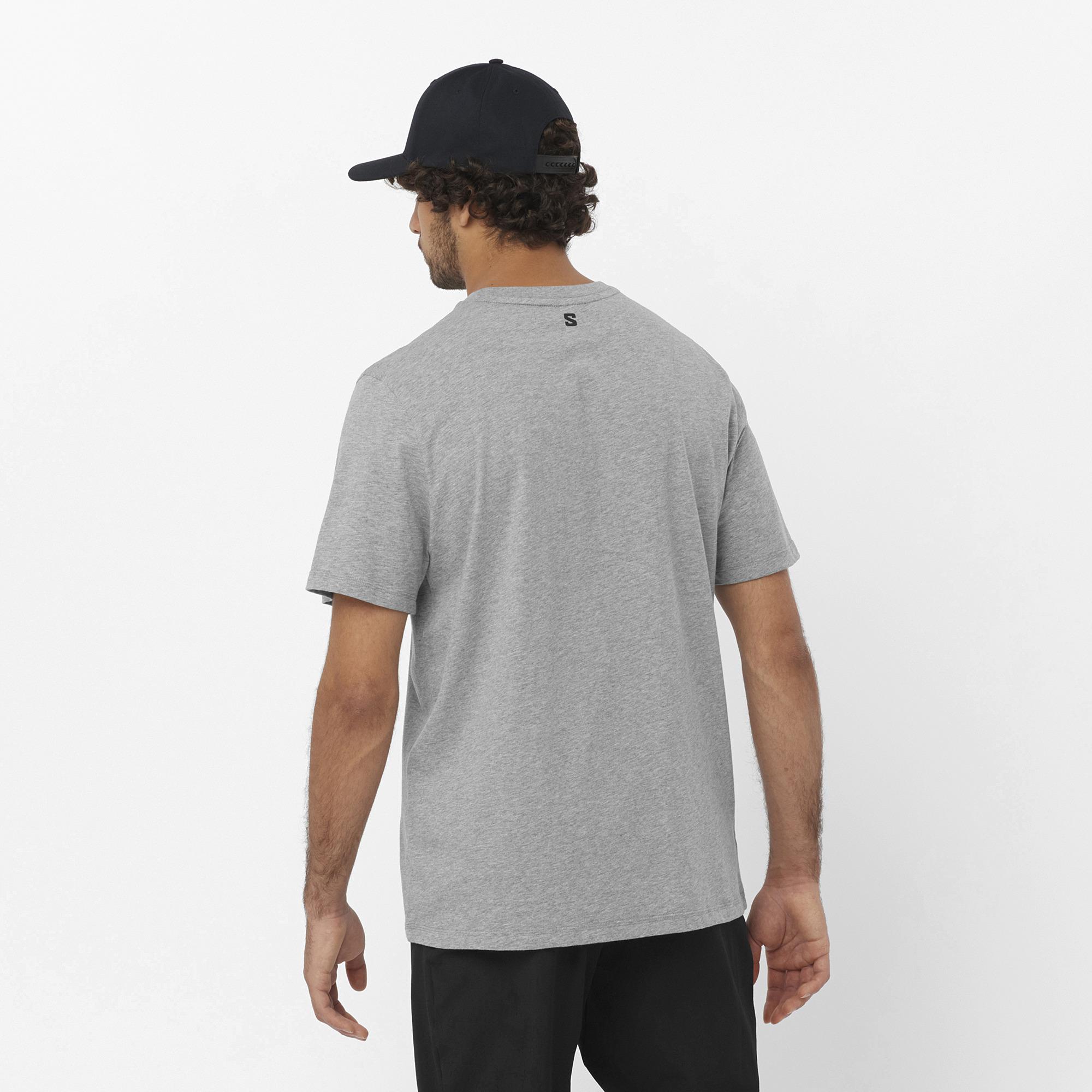 Salomon Graphic Erkek T-Shirt - Gri